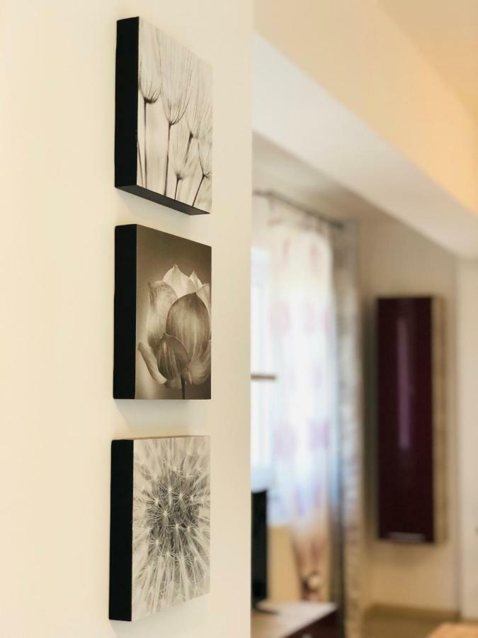 Eme Apartments Braşov Exterior foto